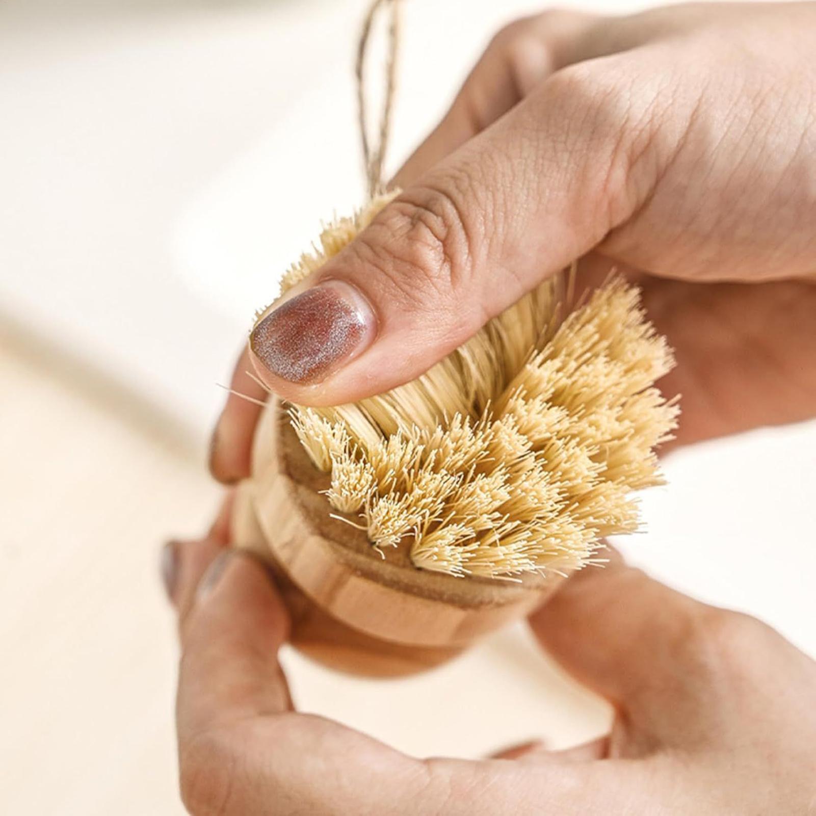 Dish Brush Bamboo - 木製キッチン掃除ブラシ 天然素材 食器 鍋 フライパン シンク洗いブラシ