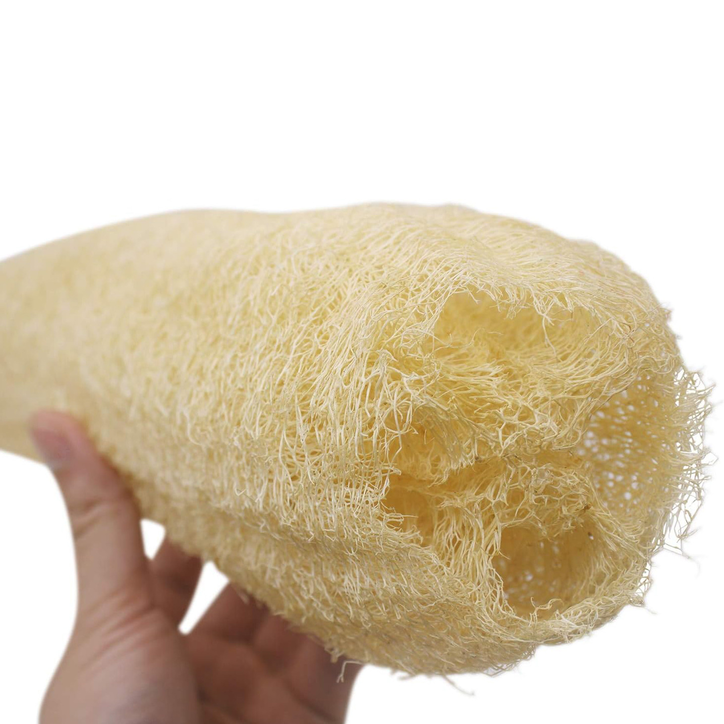 3個入りフルルーファ天然角質除去生分解性ルーファスポンジセル - Dish Brush Bamboo のレビューと価格